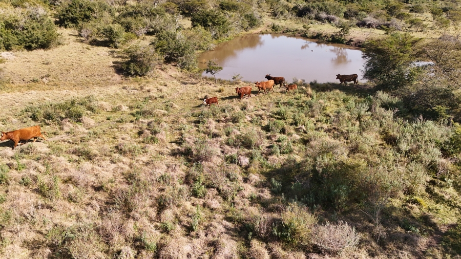 Commercial Property for Sale in Kei Road Eastern Cape